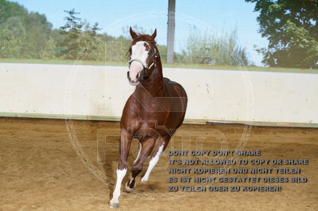 a_K3F04094.JPG